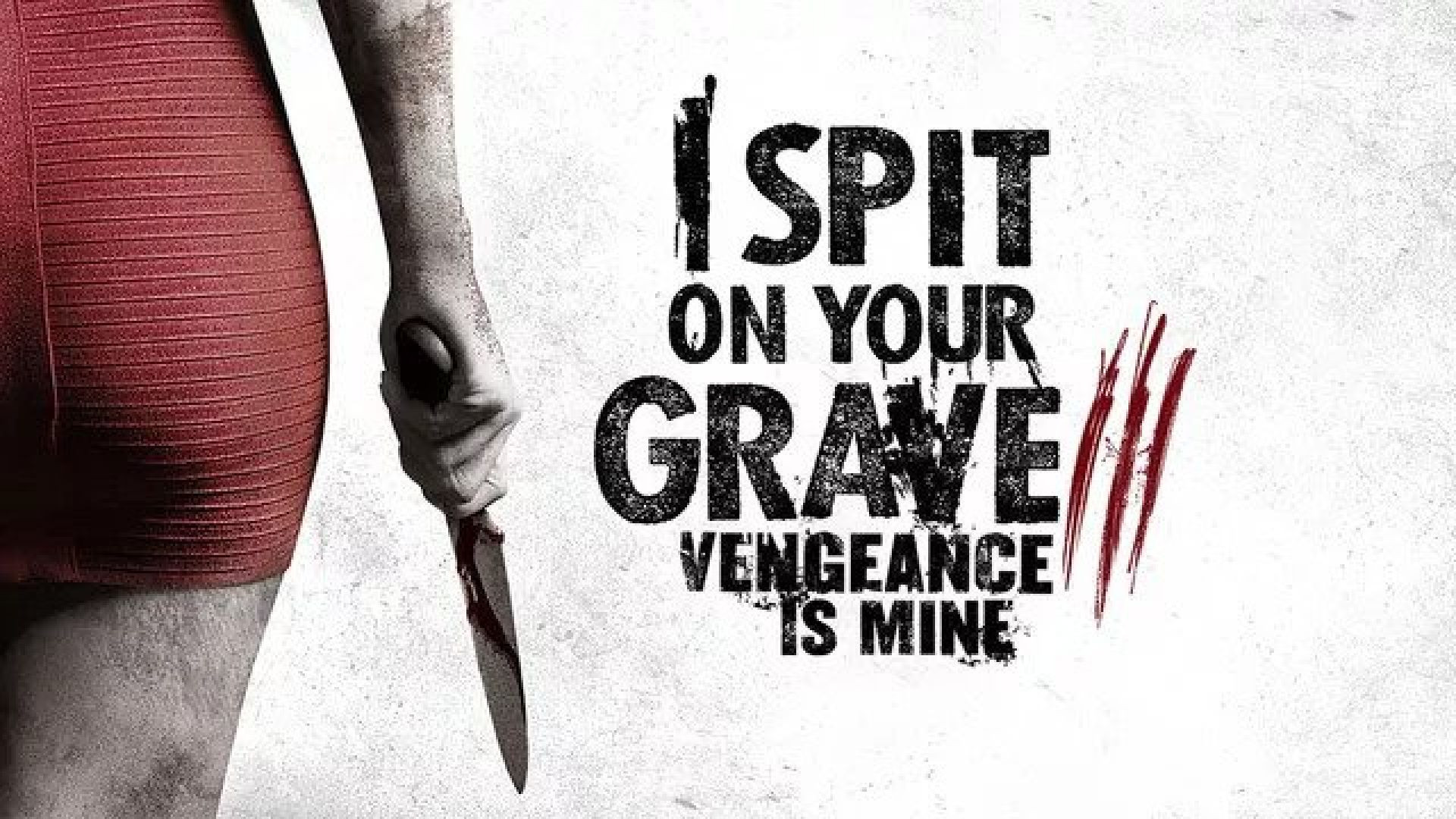 I Spit on Your Grave III: Vengeance Is Mine (2015) Dual Audio [Hindi-English] Blu-Ray 480P