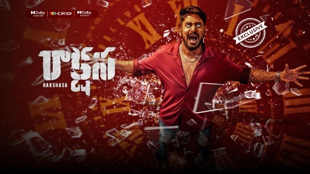 Rakshasa (2025) Kannada SNXT WEB-DL